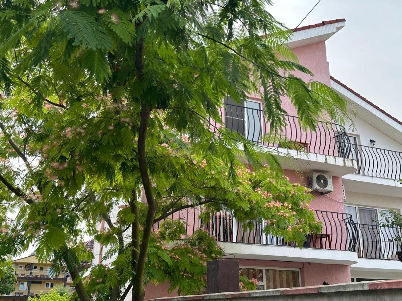 Vila Lucy Costinesti Hotel Bagian luar foto