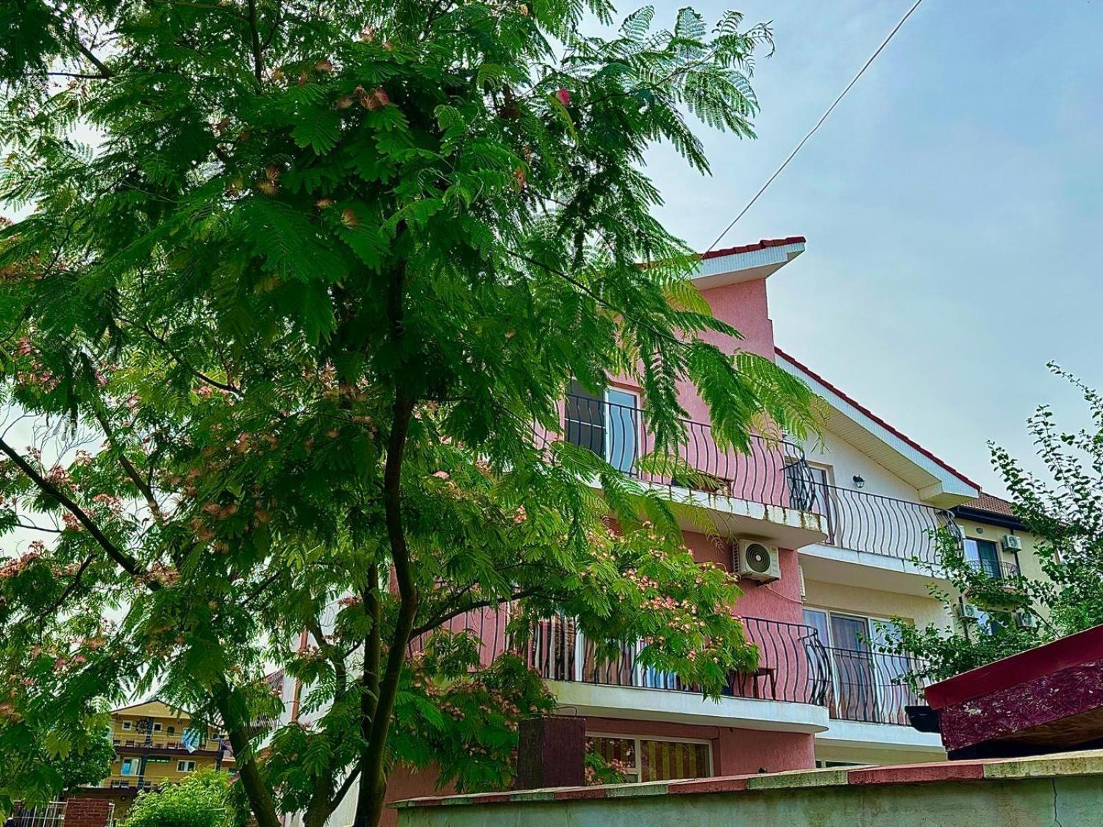 Vila Lucy Costinesti Hotel Bagian luar foto